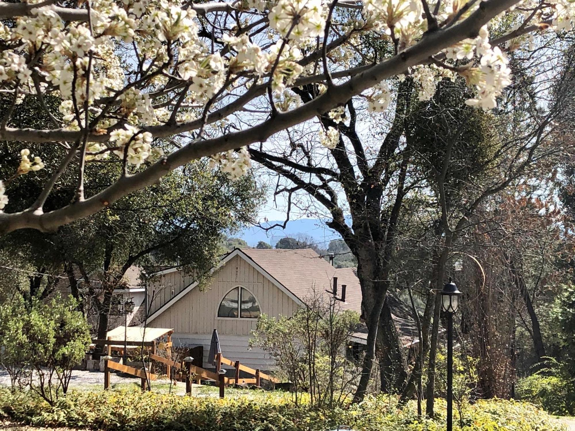 Sierra Mountain Lodge - Vacation Rentals - Yosemite Ahwahnee Buitenkant foto